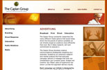 The Caplan Group Website view 3